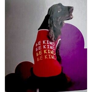 Boots & Barkley Be Kind Pet Dog Shirt Size L-XL Top Apparel Red New